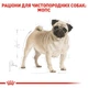 Сухий корм для собак Royal Canin Pug Adult 3 кг - изображение 4