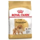 Cухий корм для собак Royal Canin Pomeranian Adult 1,5 кг - изображение 1