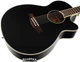 Гитара электроакустическая Ibanez AEG10II (211166) Black - изображение 4