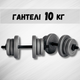 Гантели 2х10кг GREY - изображение 1