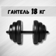 Гантель 18кг - зображення 1