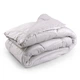 Одеяло Руно - Soft Pearl велюр всесезонное евро 200x220 см 300 гр/м2 (22789) - изображение 1