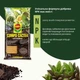 Торфосмесь для кактусов COMPO CACTEA 5 л (1221/4008398112219) - изображение 3