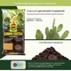 Торфосмесь для кактусов COMPO CACTEA 5 л (1221/4008398112219) - изображение 6