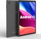 Планшет 10.1" Pritom Tronpad M10 2/32Gb Wi-Fi 6000 mAh Android 12 - изображение 1