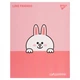 Щоденник шкільний YES інтегральний Line Friends. Cony - изображение 1