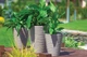 Горщик для квітів Form-Plastic Цукру круглий 14,6 л 30 х 33 см, Колір Білий - зображення 2