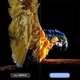 Смарт ТВ-приставка H20Pro 6K Ultra HD Android 10.0 с WiFi 2.4-5G + пульт ДУ, черная (88120693) - изображение 3
