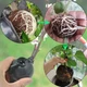 Шары для укоренения растений PlantGrow, 10 штук - изображение 9