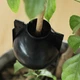 Шары для укоренения растений PlantGrow, 10 штук - изображение 10