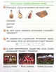 Мистецтво, 4 кл., Робочий зошит (до підруч. Калініченко) - Наземнова Т. - РАНОК (117461) - изображение 5
