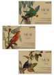 Альбом для малювання 3 шт. MUSE. Альбом Школярик 30 арк. А4 PB-SC-030-318 4823088235357 - изображение 1