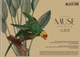 Альбом для малювання 3 шт. MUSE. Альбом Школярик 30 арк. А4 PB-SC-030-318 4823088235357 - изображение 2