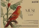 Альбом для малювання 3 шт. MUSE. Альбом Школярик 30 арк. А4 PB-SC-030-318 4823088235357 - изображение 3