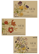 Альбом для малювання 3 шт. MUSE. Альбом Школярик 30 арк. А4 PB-SC-030-320 4823088235333 - изображение 1