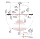 Прицел оптический KAHLES K 525i DLR CCW 5-25x56 / Skmr4-right - изображение 3