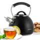 Чайник со свистком Ofenbach NB-100311 2.5 л - изображение 2