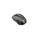 Мышка Canyon MW-1 Wireless (CNE-CMSW1G)[11082] - изображение 2