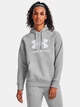 Худи теплое женское Under Armour Ua Rival Fleece Big Logo Hdy 1379501-012 S Серое (196883880492) - изображение 1