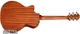 Гітара електроакустична Taylor 314CE (227223) - зображення 2