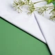 Тканина сорочкова пл.113 г/м2 біла - зображення 3