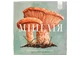 Настільна гра Ігромаг Міцелія (Mycelia) (укр.) (7949) - зображення 2