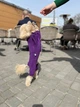 Трикотажний костюм для собак від WowPaw фіолетовий L - изображение 12