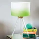 Барвник для тканини Rit ProLine Neon Green яскраво-зелений, 454 г (84212) - изображение 5