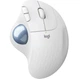 Миша блютуз бездротова Logitech Ergo M575 з ергономічною конструкцією - зображення 1