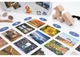 Настільна гра Fun Games Shop Ілюстрації (Pictures) (укр.) - зображення 5