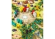 Настольная игра Game Brewer Тролли и Принцессы (Trolls & Princesses) (англ.) (PS228) - изображение 4
