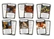 Настольная игра Geekach Games Особняк безумия (2-е издание) (Mansions of Madness Second Edition) (укр.) (GKCH095M) - изображение 8