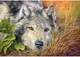 Пазл Castorland puzzle Чиста душа, 500 ел. (B-53285) - зображення 2