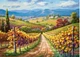 Пазл Castorland puzzle Виноградник, 3000 эл. (C-300587) - изображение 2