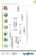 Инсекто-акарицид Syngenta Вертимек 018 ЕС 100 мл (4820041010549) - изображение 7