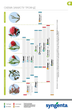 Інсекто-акарицид Syngenta Вертимек 018 ЕС 100 мл (4820041010549) - зображення 15