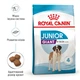 Корм для молодих собак ROYAL CANIN GIANT JUNIOR 15 кг - зображення 2