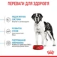 Корм для молодих собак ROYAL CANIN GIANT JUNIOR 15 кг - зображення 4