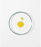 Олія-концентрат для обличчя Grown Alchemist Pure Rosehip 25 мл (9340800005074) - зображення 3