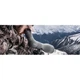 Підзорна труба Vortex Razor HD 22-48x65/45 (RS-65A) (930596) - зображення 5