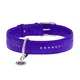 Ошейник для животных WAUDOG Glamour с QR-паспортом, двойной Ш 35 мм Д 46-60 см фиолетовый (38829) - изображение 2