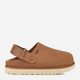 Chodaki damskie na platformie UGG Goldenstar Clog W 1138252-CHESTNUT 38 Brązowe (196565243393) - obraz 1