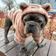 Одяг для собак "Teddy Sweatshirt FRB" . SKU 004540. Розмір XL. Your Stylish Hunter. Худі для собак для французського бульдога, мопса, спанієля, та інших. - зображення 3
