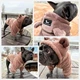 Одяг для собак "Teddy Sweatshirt FRB" . SKU 004540. Розмір XL. Your Stylish Hunter. Худі для собак для французського бульдога, мопса, спанієля, та інших. - зображення 9