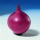 Лук Ред Барон, 200 шт, Садыба Центр - изображение 4
