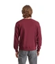 Свитшот мужской Fruit of the Loom Classic set-in sweat M Бордовый (062202041M) - изображение 3