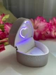 Коробочка для кольца с двойной подсветкой Adore, шампань - Футляр шкатулка для предложения или свадьбы (700133) - изображение 1