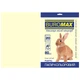 Цветная бумага BuroMax Pastel A4 80 г/м2 20 листов кремовая пастельная (BM.2721220-49) - изображение 1