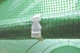 Теплиця садова Focus Garden 3x4,5x2 м парник з вікнами Зелена - зображення 6
