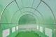 Теплиця садова парник Focus Garden 4x12x2 м (подвійні двері) Зелена - зображення 2